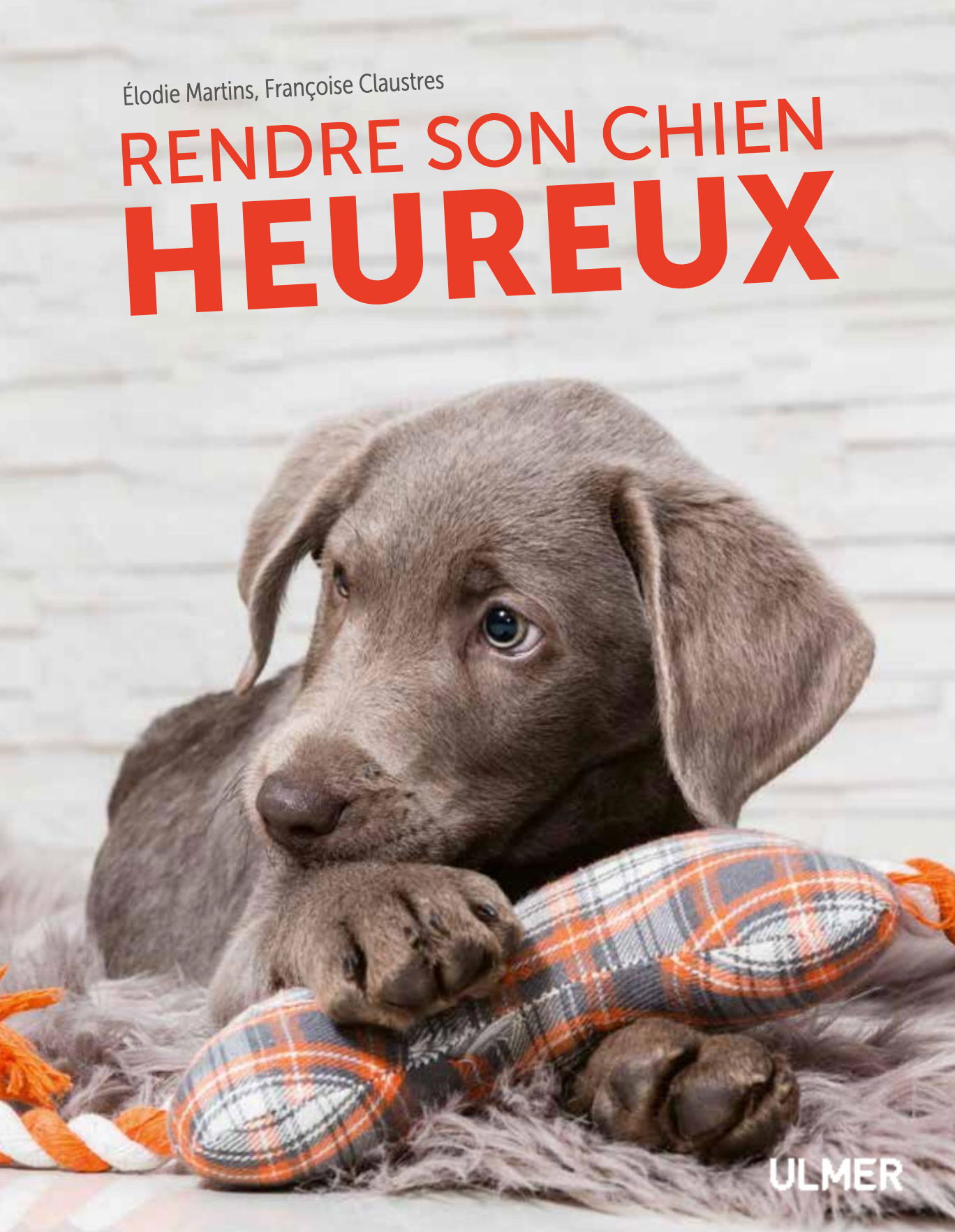 Rendre son chien heureux — Des croquettes et un jardin ne suffisent pas !