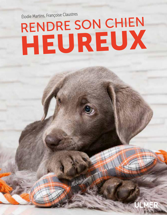 Rendre son chien heureux — Des croquettes et un jardin ne suffisent pas !