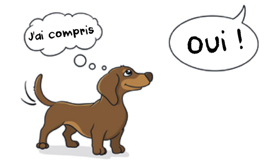 Le guide du dog parent — L’éducation par le « oui » !