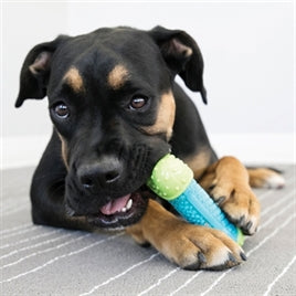 KONG Corestrength Osso - Gioco da Masticare per Cani M/L 17 cm