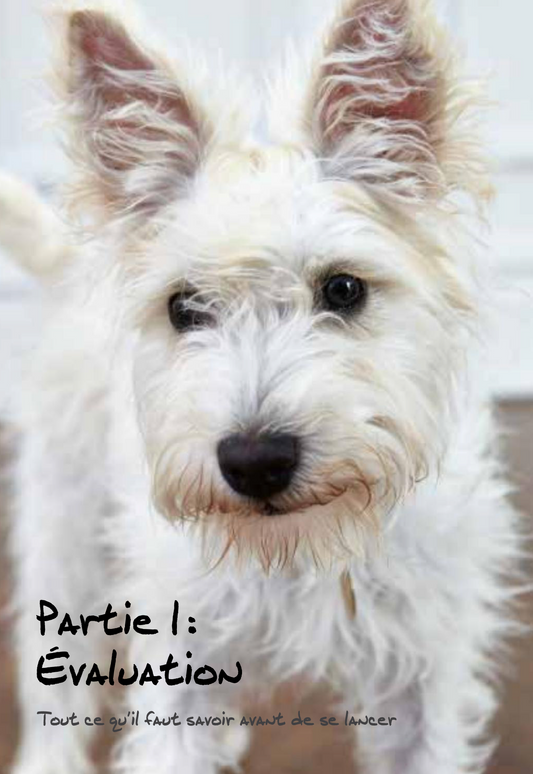 Un chien parfait en 21 jours — Lui (ré)apprendre les bonnes manières en s’amusant