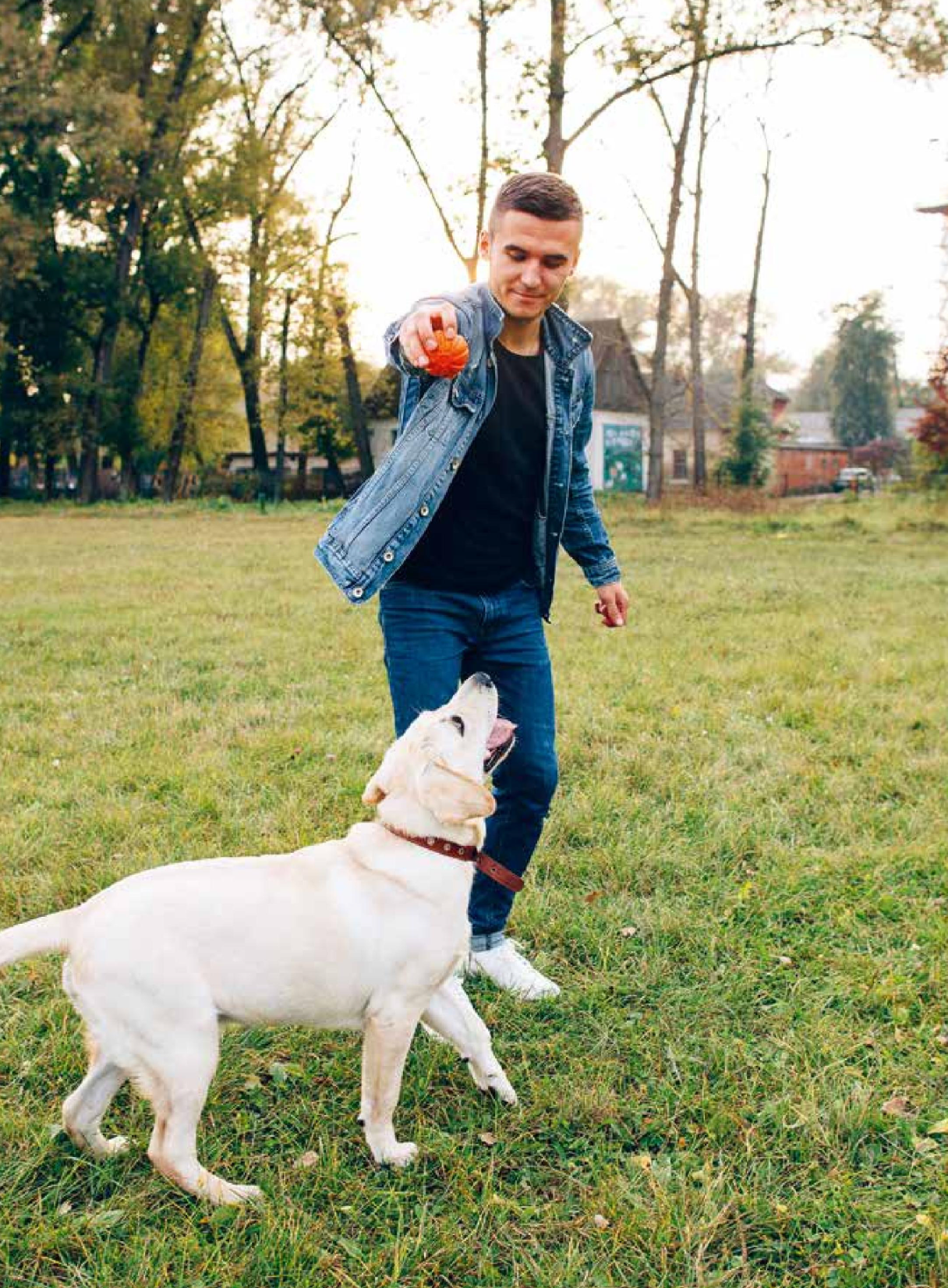 Pourquoi mon chien fait-il ça ? — Tous ses comportements décodés