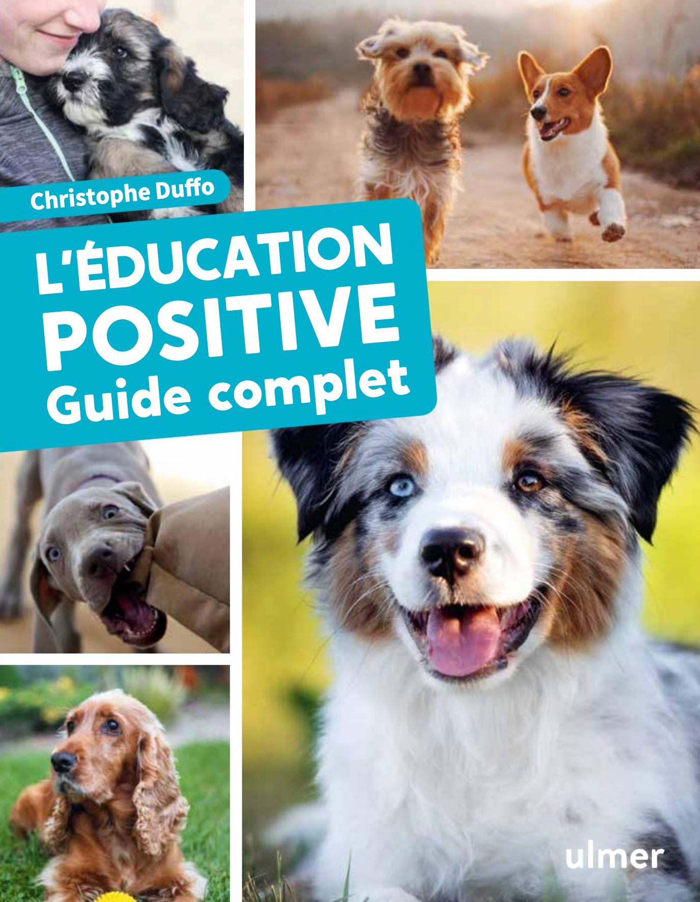 L’éducation positive du chien — Guide complet