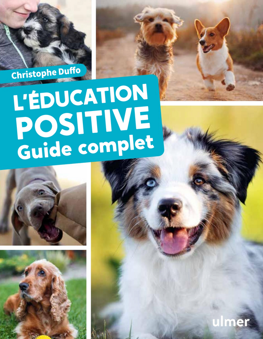 L’éducation positive du chien — Guide complet