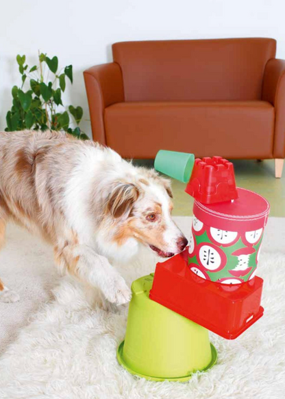 Sport cérébral pour mon chien — Jeux d’intelligence rapides et faciles à réaliser