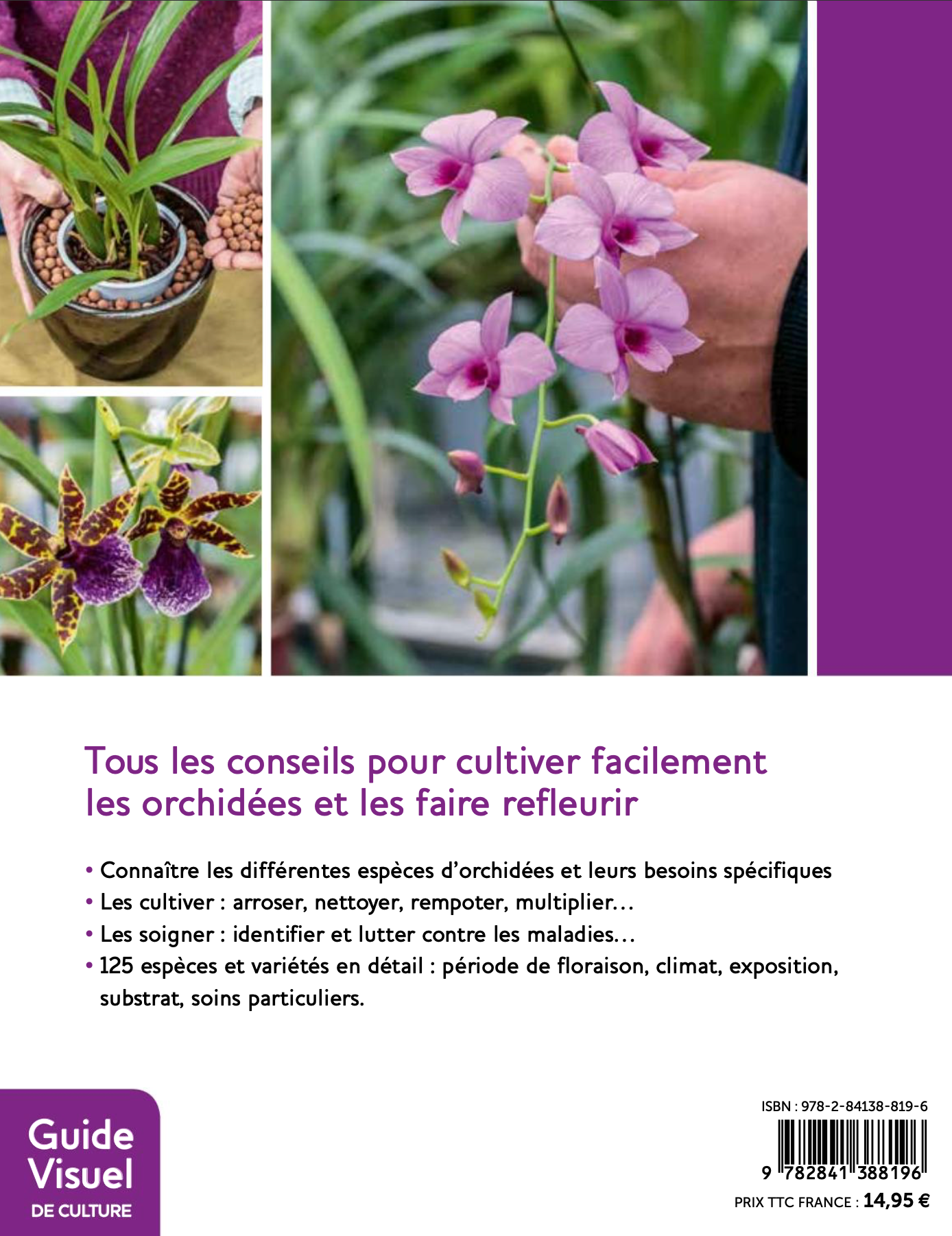 4e de couverture - Orchidées comment les cultiver facilement