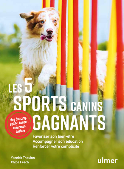 Les 5 sports canins gagnants — Favoriser son bien-être, accompagner son éducation, renforcer votre complicité