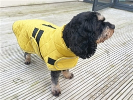 Manteau matelassé moutarde