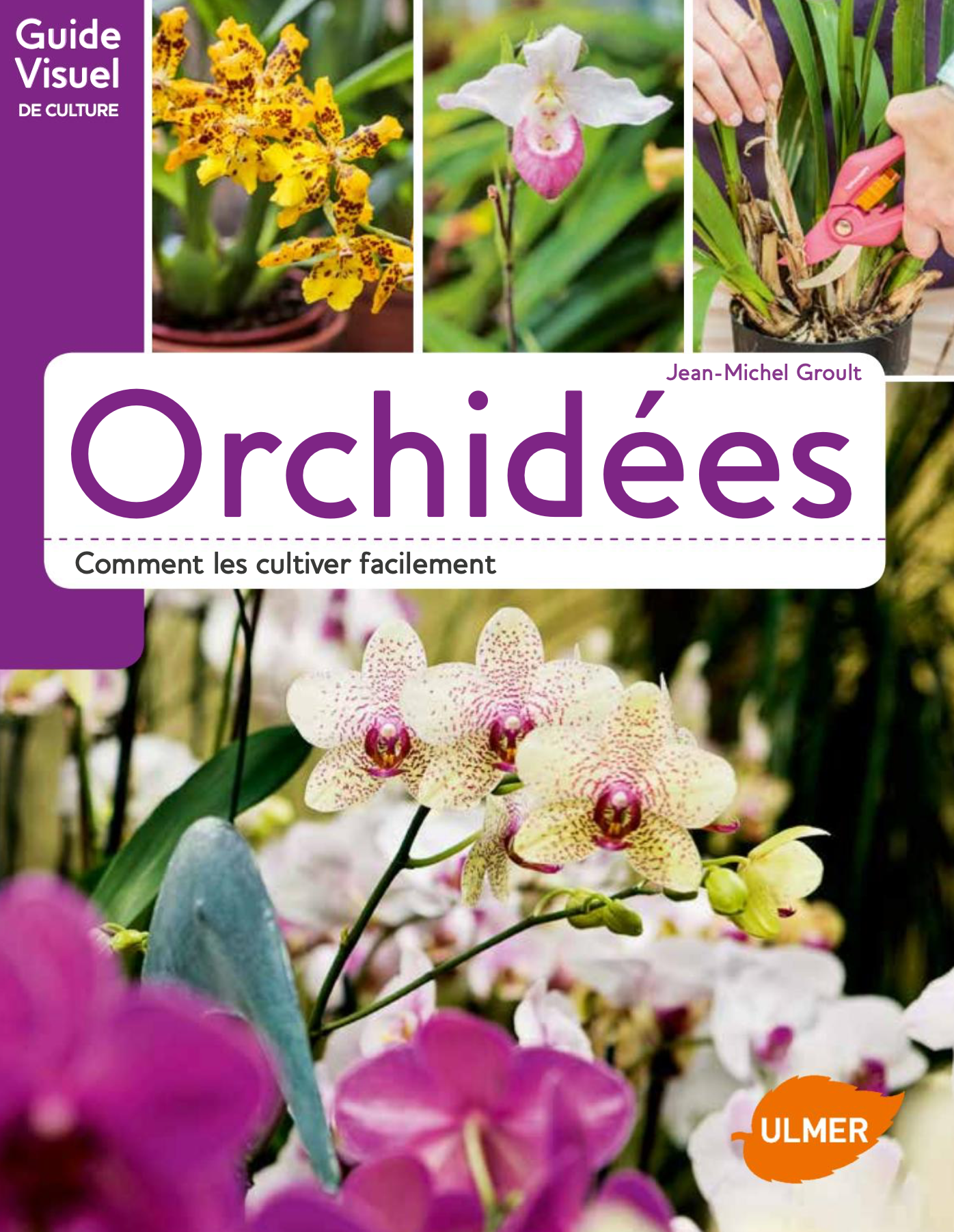 Couverture Orchidées comment les cultiver facilement - Jean-Michel Groult