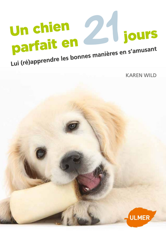 Un chien parfait en 21 jours — Lui (ré)apprendre les bonnes manières en s’amusant