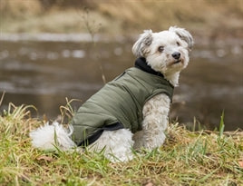 Manteau de mi-saison vert foncé
