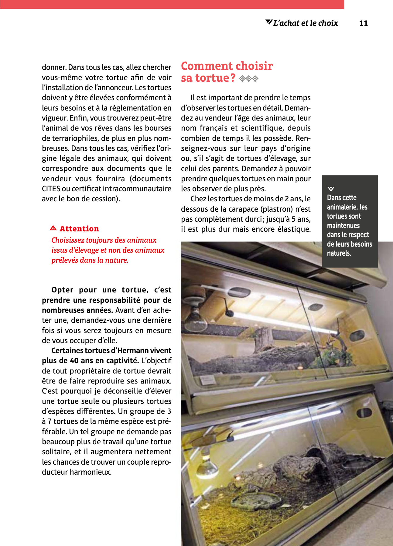 Extrait intérieur - Comment choisir sa tortue