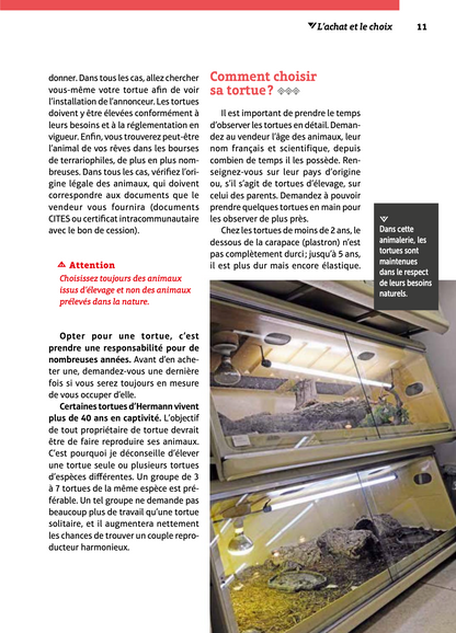 Extrait intérieur - Comment choisir sa tortue