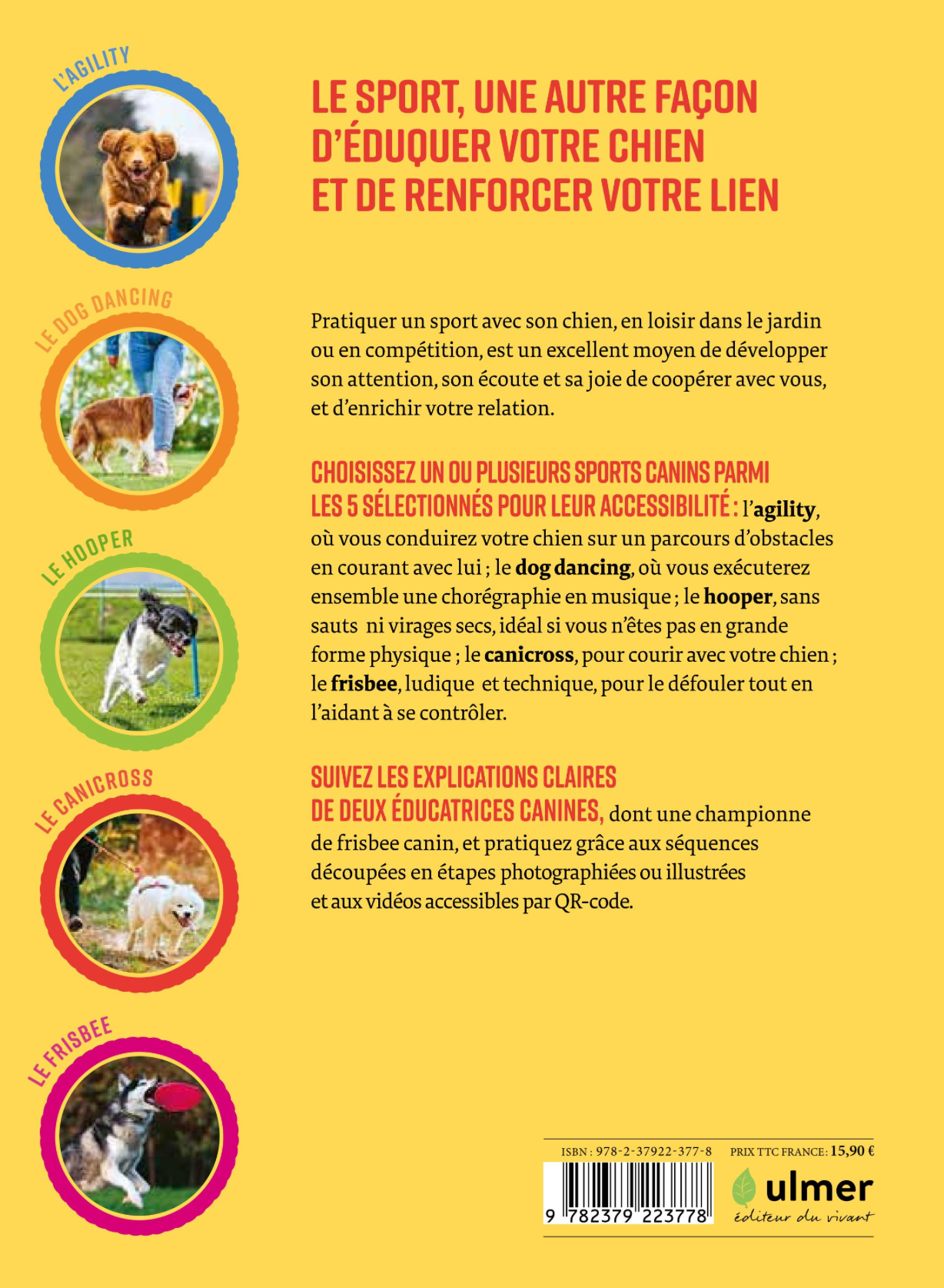 Les 5 sports canins gagnants — Favoriser son bien-être, accompagner son éducation, renforcer votre complicité