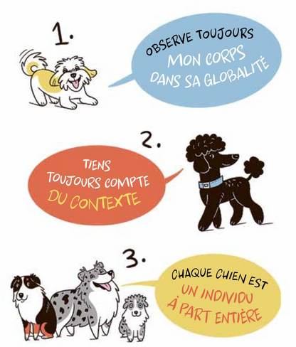 Le langage du chien — Comprendre tout ce qu’il veut vous dire