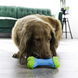 KONG Corestrength Osso - Gioco da Masticare per Cani M/L 17 cm