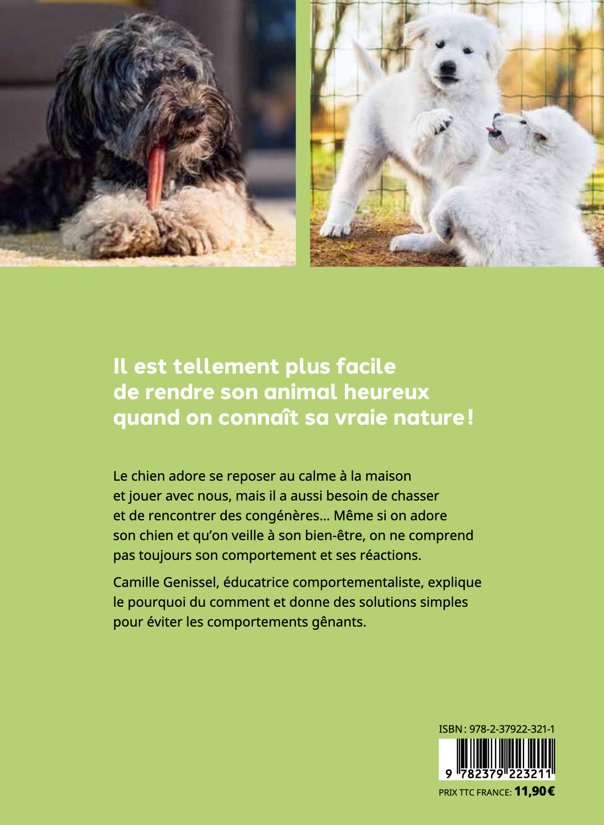 Pourquoi mon chien fait-il ça ? — Tous ses comportements décodés