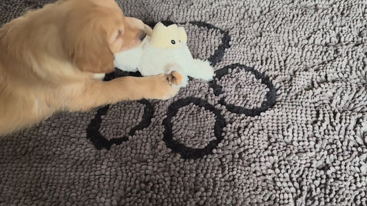 Gloria Kondoo White Sheep Comforter