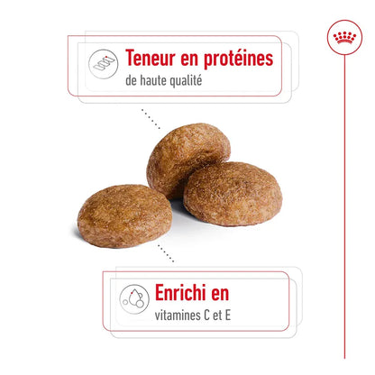 Croquettes Royal Canin Medium Adult 7+ 4kg