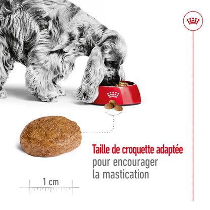 Croquettes Royal Canin Medium Adult 7+ 4kg