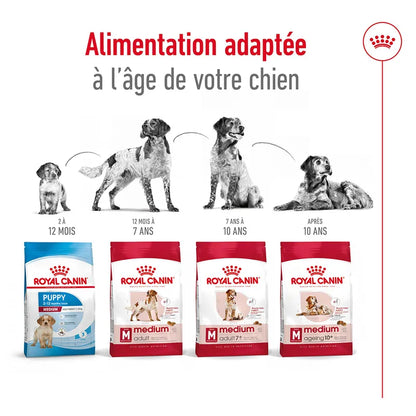 Croquettes Royal Canin Medium Adult 7+ 4kg