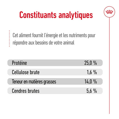 Croquettes Royal Canin Medium Adult 7+ 4kg