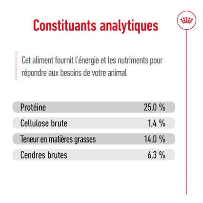Croquettes Royal Canin Medium Adult 3kg