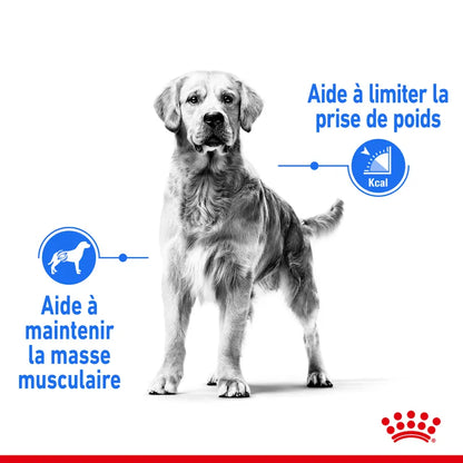 Croquettes Royal Canin Medium Light Weight Care 12kg