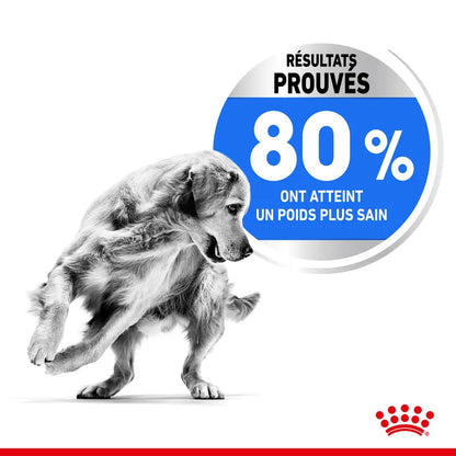 Croquettes Royal Canin Medium Light Weight Care 12kg