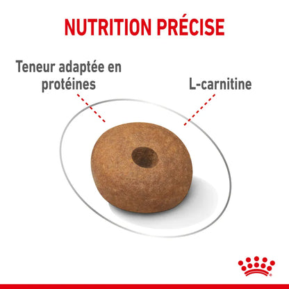 Croquettes Royal Canin Medium Light Weight Care 12kg