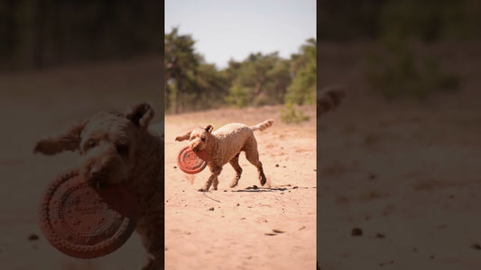Frisbee UFO Flyer Orange