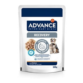 Alimentation de convalescence pour chiens