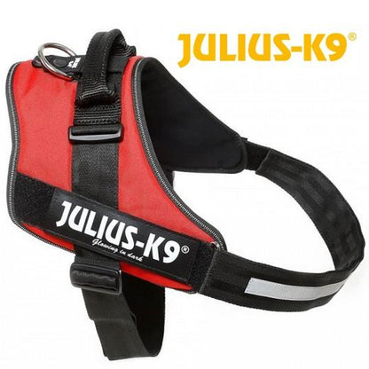 Harnais IDC Power Julius K9 - T0