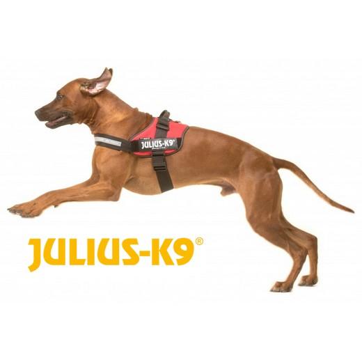 Harnais IDC Power Julius K9 - T2