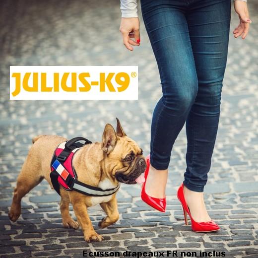 Harnais IDC Power Julius K9 France - T4