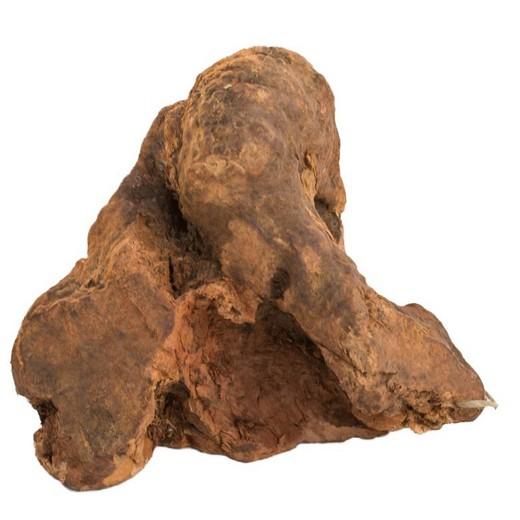 Racines à Mâcher - Taille S (60 à 150 g)