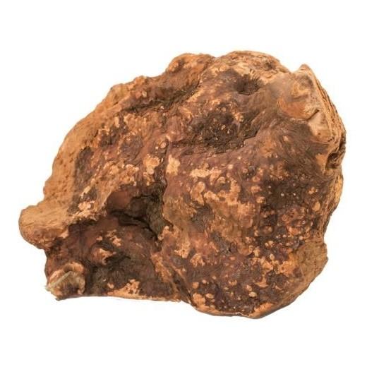 Racines à Mâcher - Taille S (60 à 150 g)