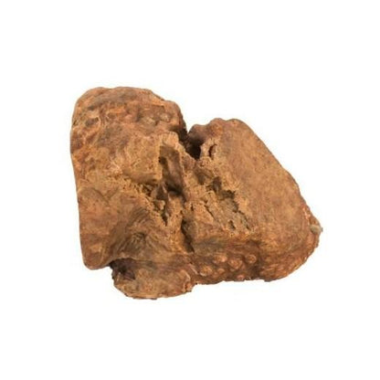 Racines à Mâcher - Taille S (60 à 150 g)