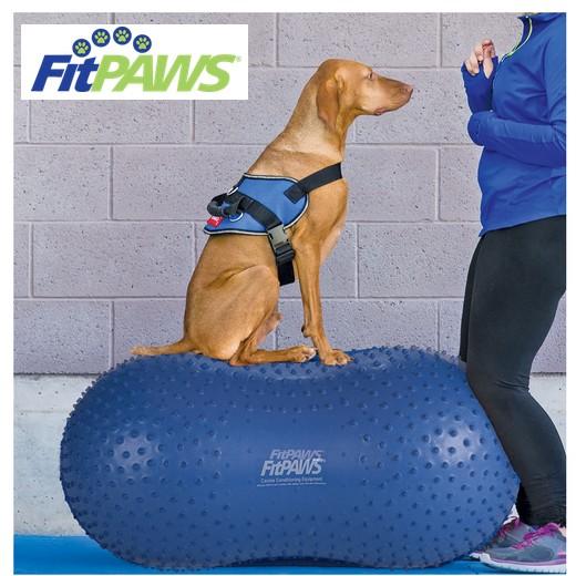 Trax Peanut - Ballon Proprioception 60 cm