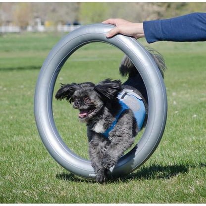 Anneau Gonflable Donut Holder - Proprioception