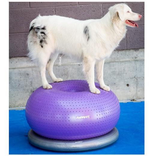 Trax Donut - Coussin Proprioception Antidérapant