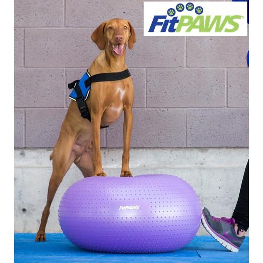 Trax Donut - Coussin Proprioception Antidérapant