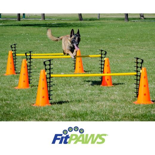 Hurdle Set - Jeu de Haies Réglables Agility