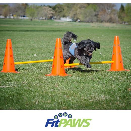 Hurdle Set - Jeu de Haies Réglables Agility