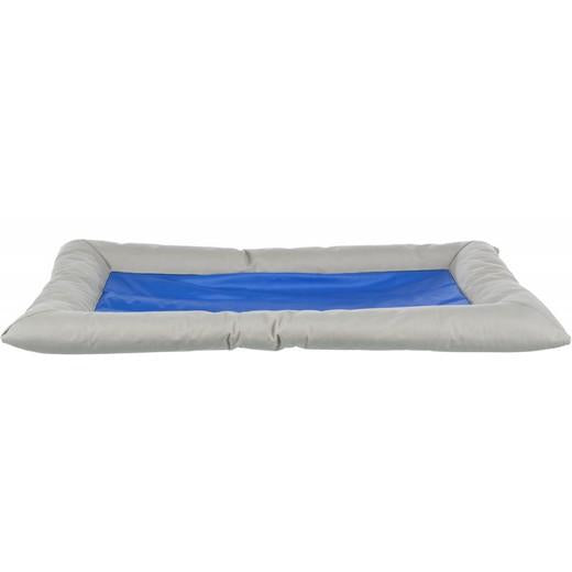 Coussin Rafraîchissant Cool Dreamer
