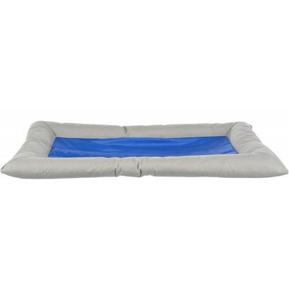 Coussin Rafraîchissant Cool Dreamer