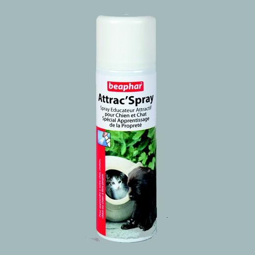 Spray Attractif - 250 ml