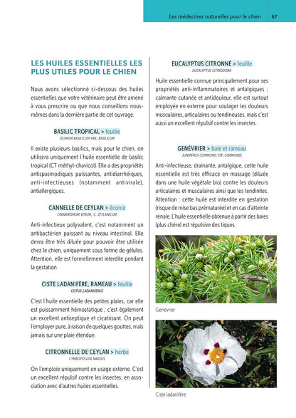 Soins naturels pour le chien